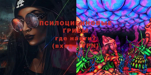стафф Алексеевка