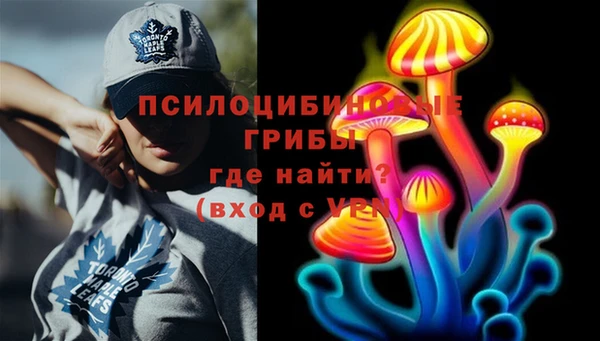 PSILOCYBIN Зерноград